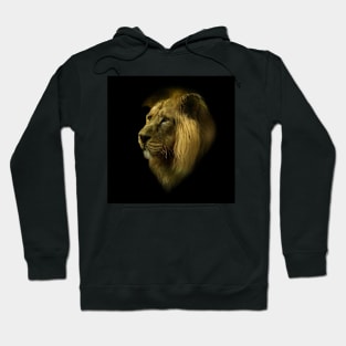 Lion portrait Hoodie